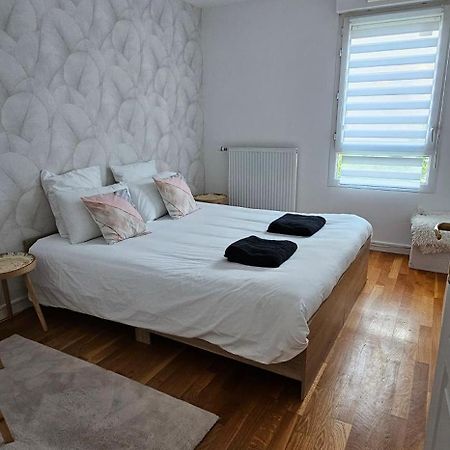 Le Cocon De Soie Superbe T3 A Vaulx En Velin Apartment Ngoại thất bức ảnh