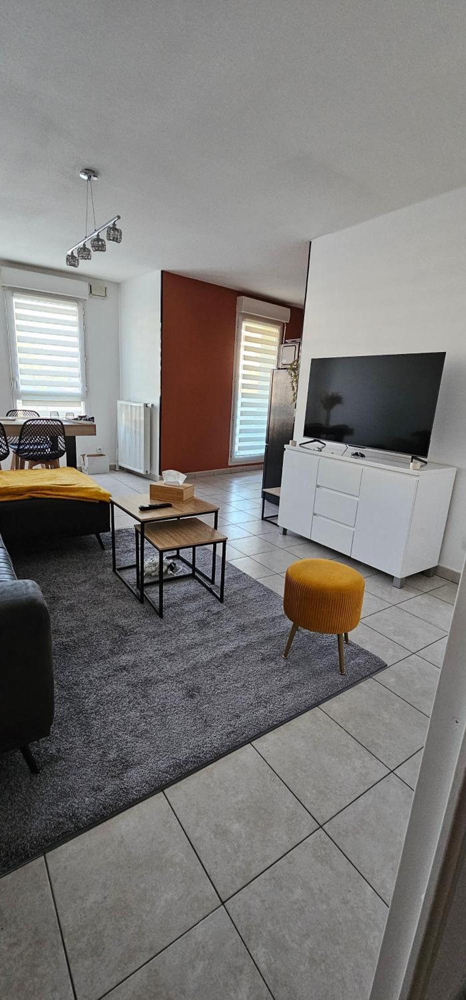 Le Cocon De Soie Superbe T3 A Vaulx En Velin Apartment Ngoại thất bức ảnh